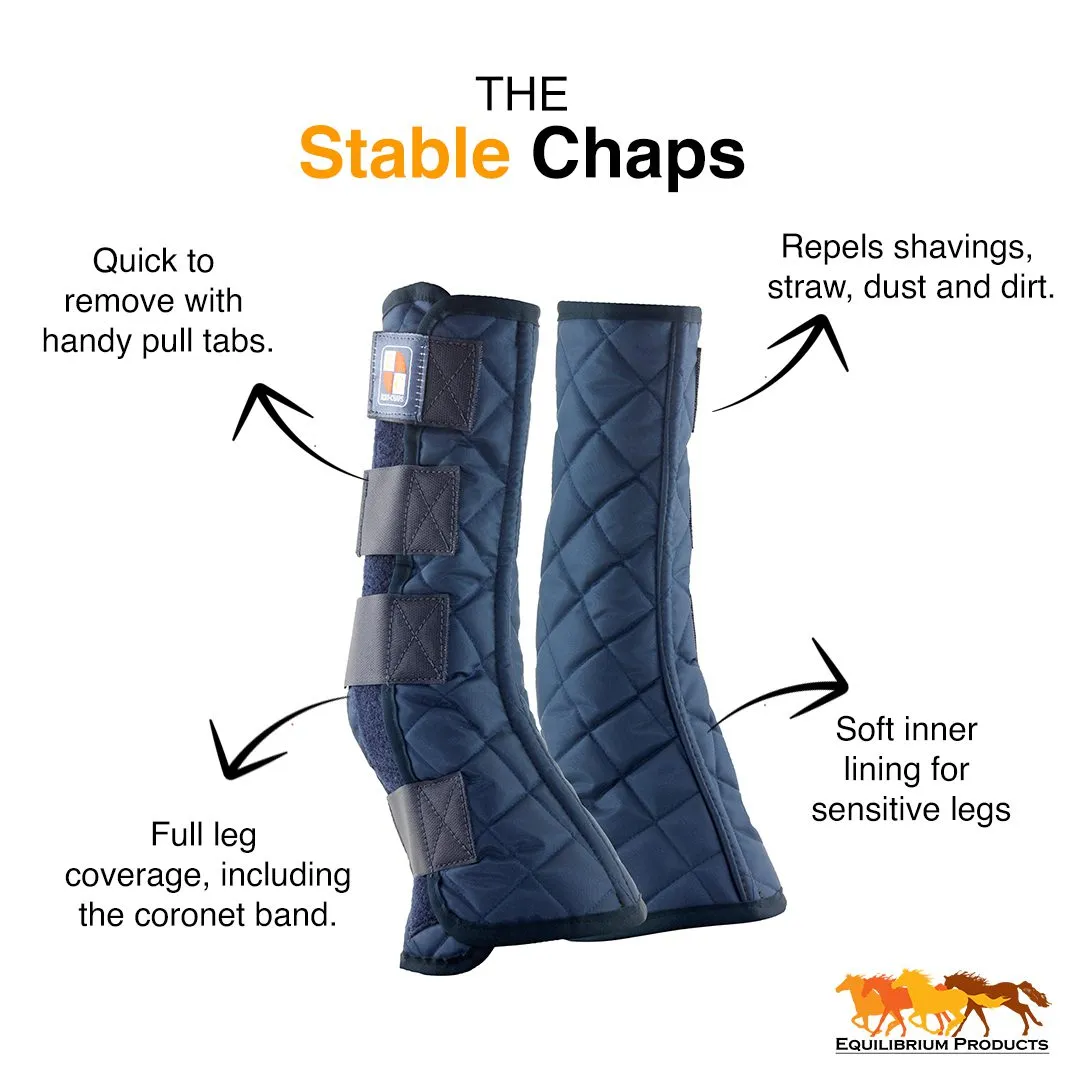 Equilibrium Equi-Chaps Stable Chaps