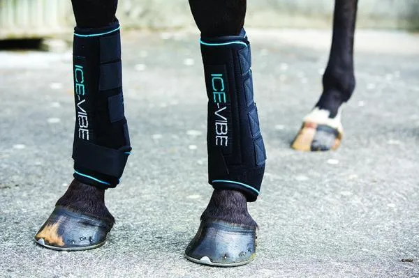 Ice Vibe Boot Full - Black/Aqua