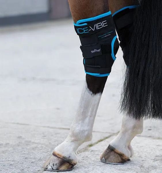 Ice Vibe HOCK Wraps