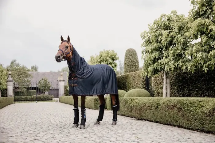 Kentucky Magnetic Rug Recuptex Navy