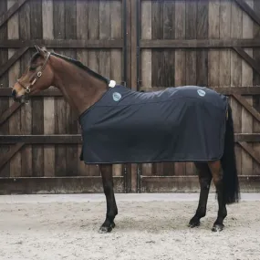 Kentucky Magnetic Rug Recuptex Navy