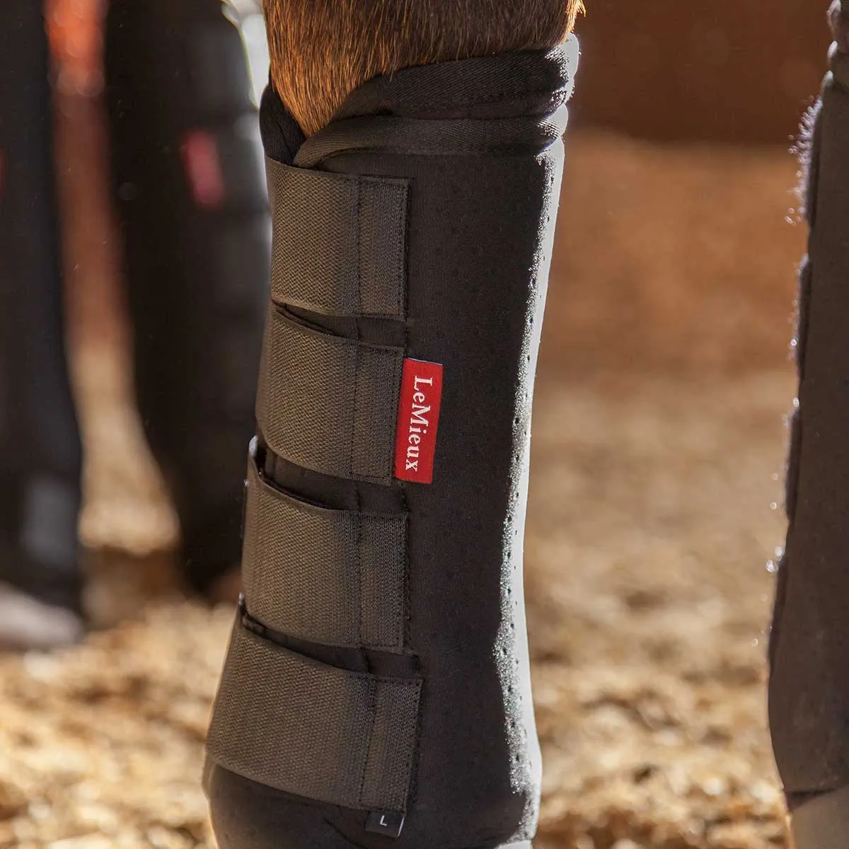 LeMieux Stable Boots - Pair
