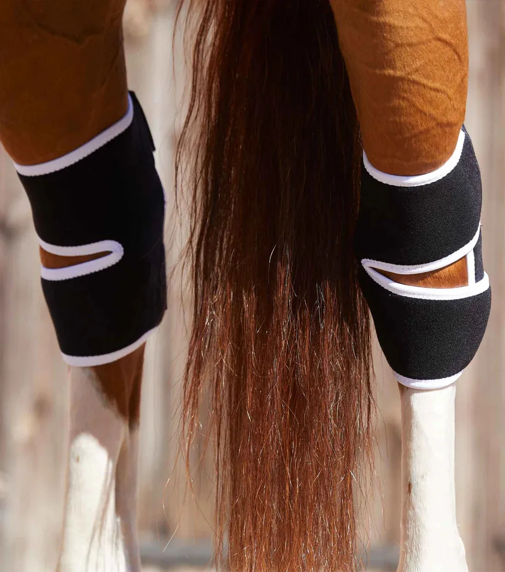 Premier Equine Magni-Teque Hock Boot
