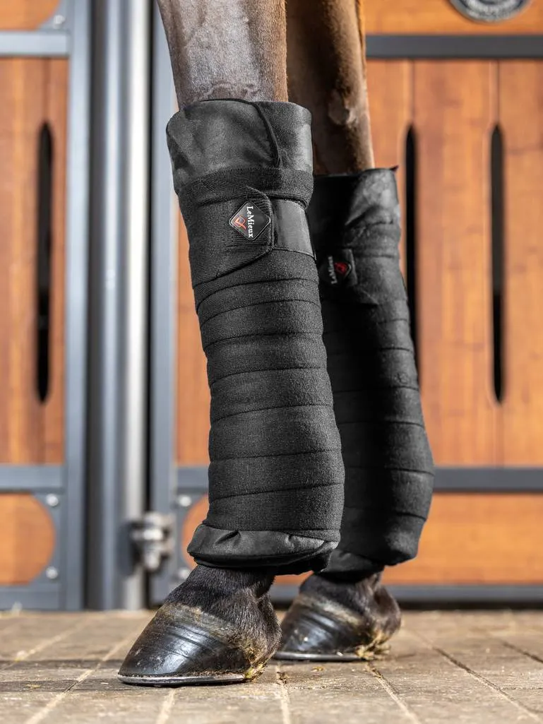 Stable Bandages